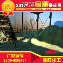 一身虎斑无法驯服！科学家百年来首次确认新现生猫科物种